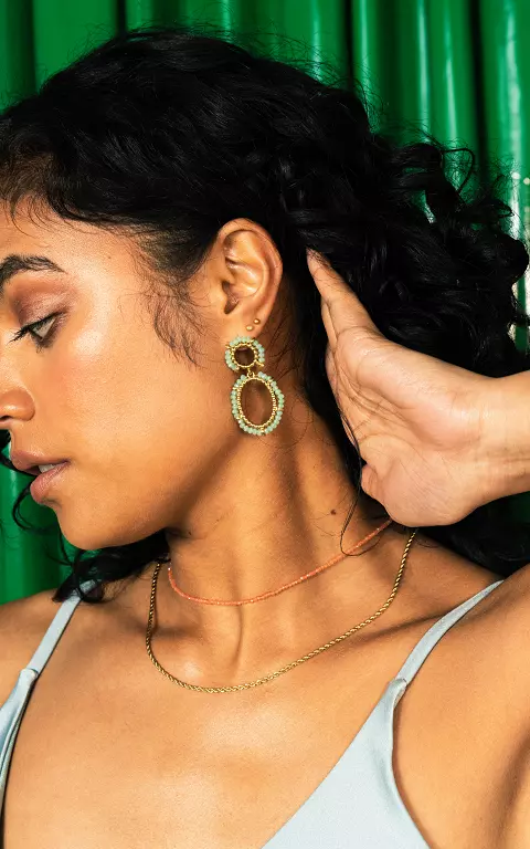 Stainless steel earrings gold mint