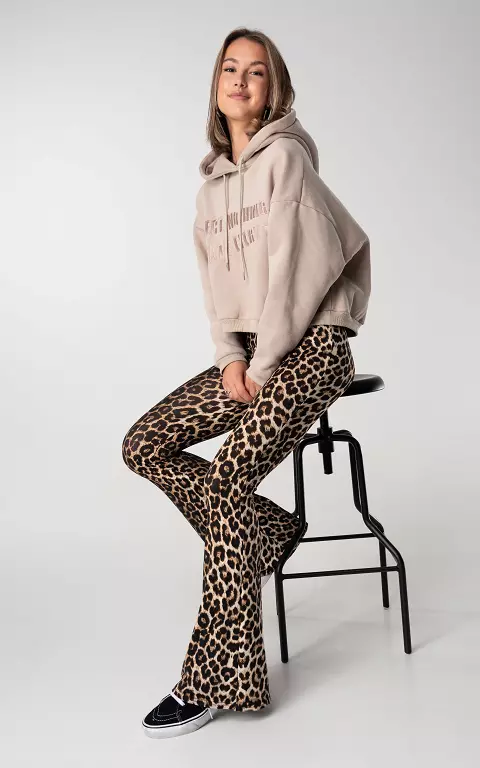 Leopard high waist flared broek 