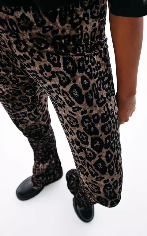Velvet look flared broek met panterprint leopard