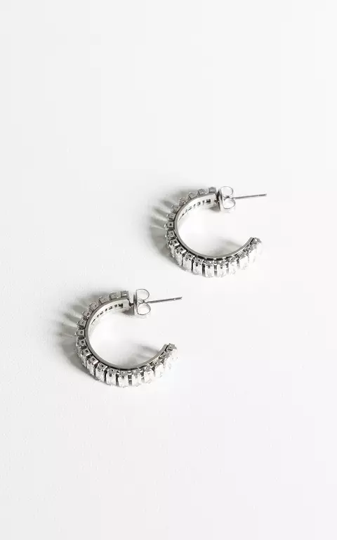 Stainless steel earrings silver