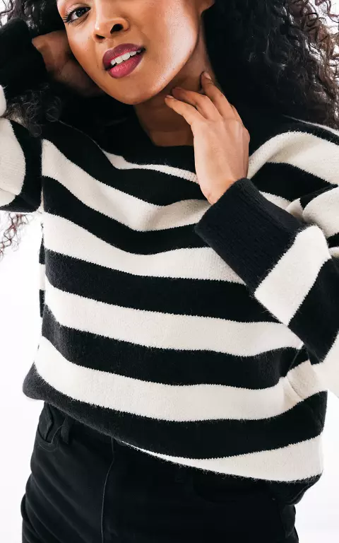 Sweater with stripes and round neck black cream