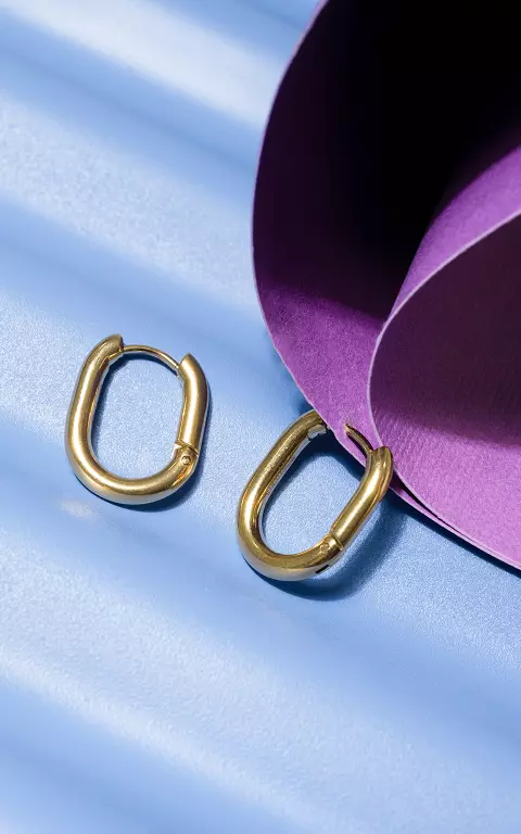 Stainless steel oval earrings gold