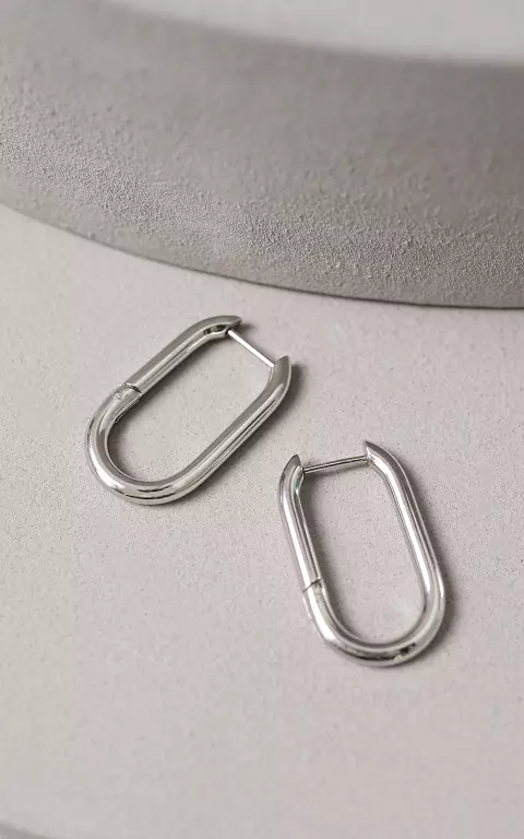 Stainless steel earrings 