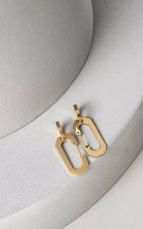 Oorbellen met hanger goud