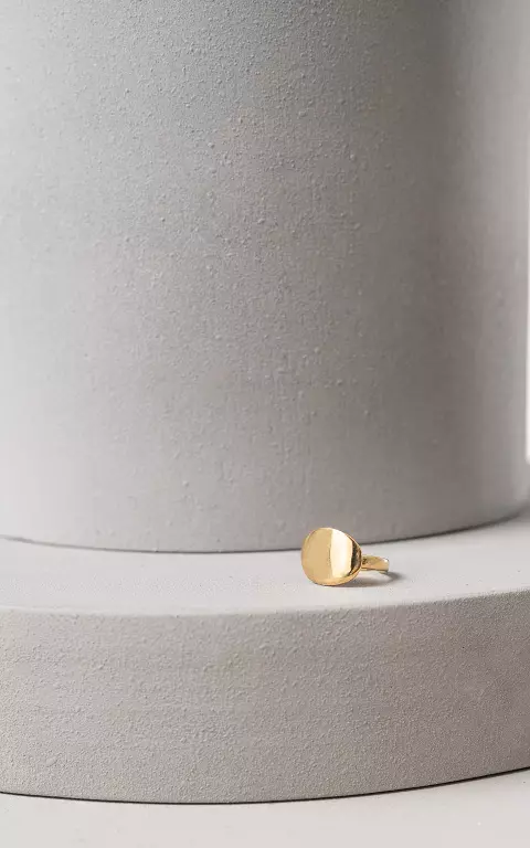 Größenverstellbarer Ring gold