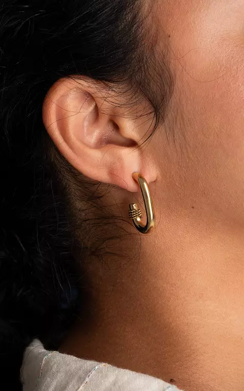 Stainless steel oorstekers met detail goud