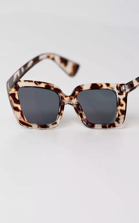 Sunglasses with polarized glasses 