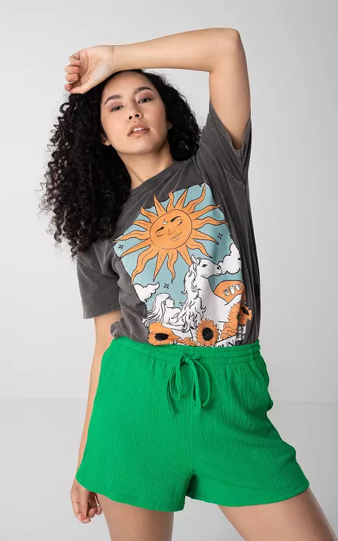 Ronde hals shirt met print donkergrijs lichtblauw