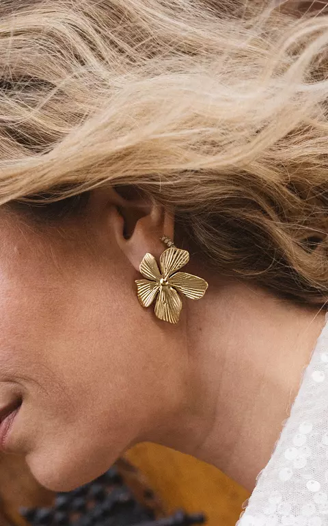 Earrings of stainless steel gold