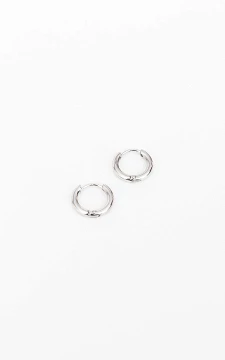 Small stainless steel earrings | Silver | Guts & Gusto