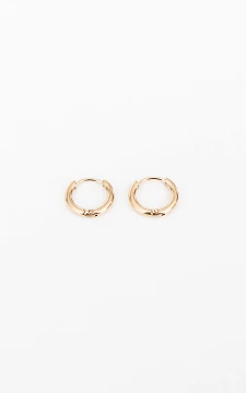 Small stainless steel earrings | Gold | Guts & Gusto