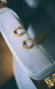 Stainless steel hoop earrings | Gold | Guts & Gusto