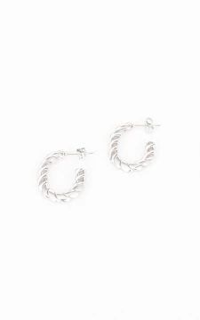 Stainless steel earrings | silver | Guts & Gusto