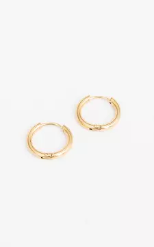 Small earrings of stainless steel | Gold | Guts & Gusto