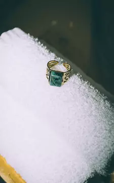 Verstelbare ring met steen | Goud Groen | Guts & Gusto