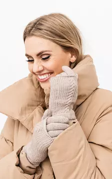 Gloves with touchscreen finger | Taupe | Guts & Gusto