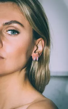 Stainless steel earrings | gold lilac | Guts & Gusto