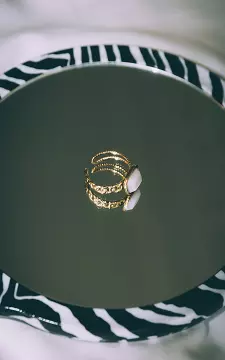 Verstelbare ring met gekleurde steen | Goud Wit | Guts & Gusto