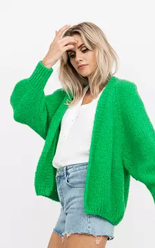 Knitted cardigan | Green | Guts & Gusto