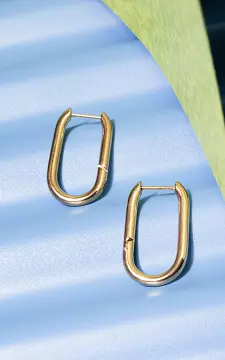 Stainless steel earrings | Gold | Guts & Gusto