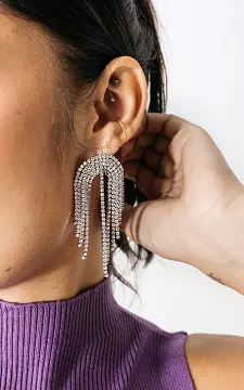 Earrings with rhinestones | Silver | Guts & Gusto