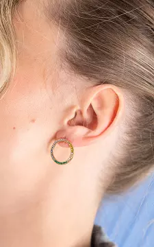 Stainless steel earrings | Gold Multicolor | Guts & Gusto