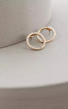 Stainless steel earrings | Gold Silver | Guts & Gusto