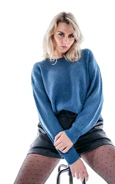 Sweater with round neck | Blue | Guts & Gusto