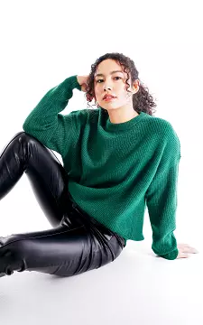 Sweater with round neck | Green | Guts & Gusto