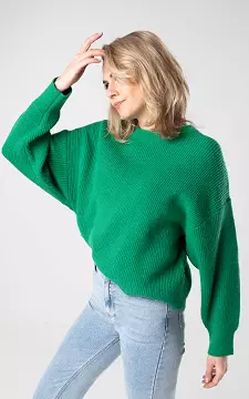 Sweater with round neck | Green | Guts & Gusto