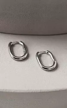Stainless steel oval earrings | Silver | Guts & Gusto