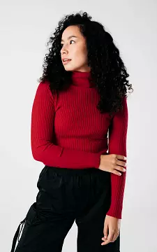 Basic ribbed turtleneck sweater | Red | Guts & Gusto