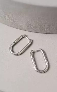 Stainless steel earrings | Silver | Guts & Gusto
