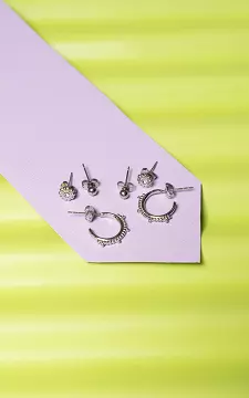 Stainless steel set of earrings | Silver | Guts & Gusto