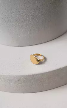 Verstelbare ring van stainless steel | Goud | Guts & Gusto