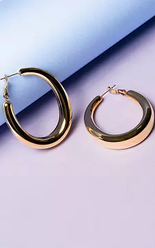 Ovale oorbellen van stainless steel | Goud | Guts & Gusto